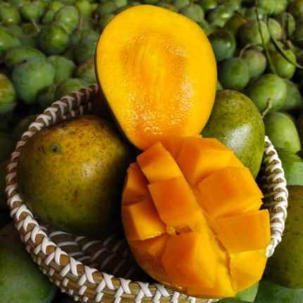 20 KG Himsagor/হিমসাগর (Regular)